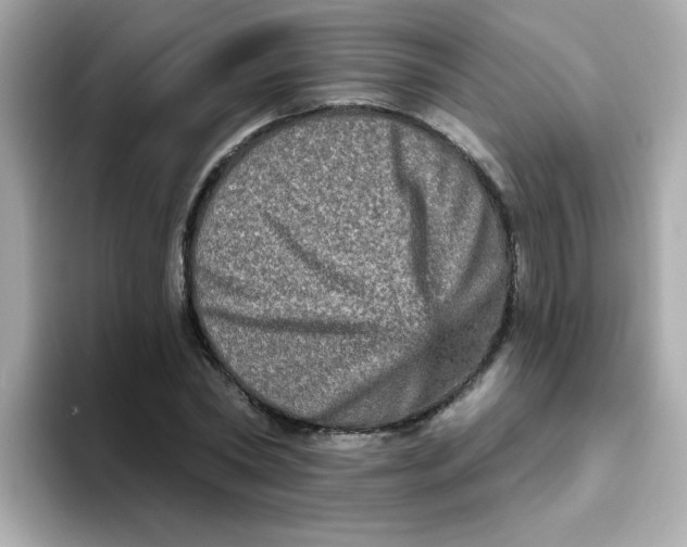 X0000094790782200711301605