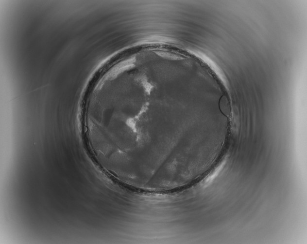 X0000094790783200711301605