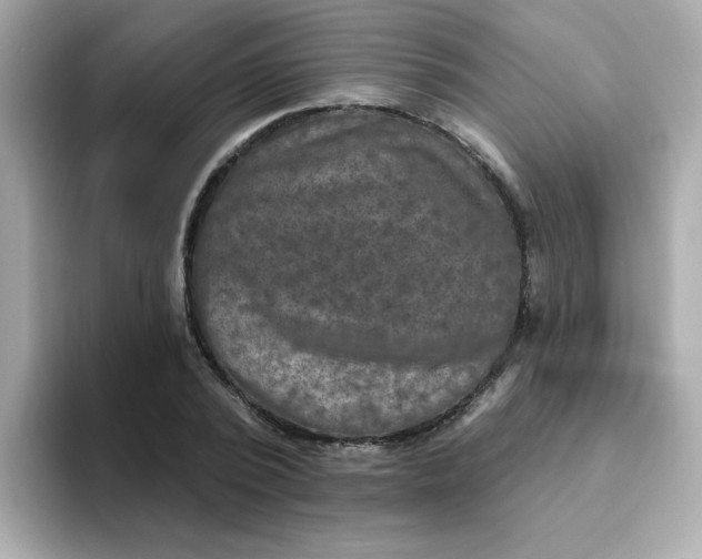 X0000094790784200711301605