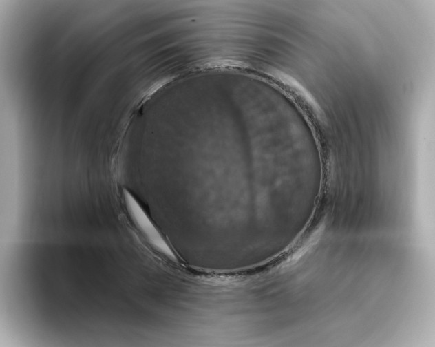 X0000094790785200711301605