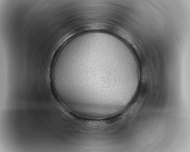 X0000094790786200711301605