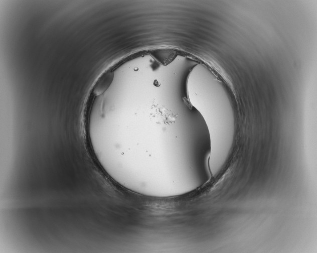 X0000094790789200711301605