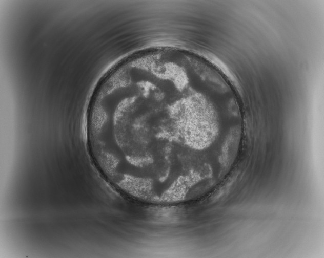 X0000094790791200711301605