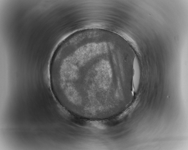 X0000094790792200711301605