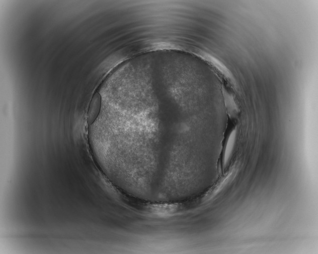 X0000094790793200711301605