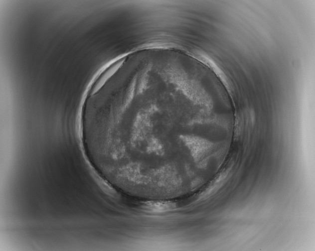 X0000094790795200711301605