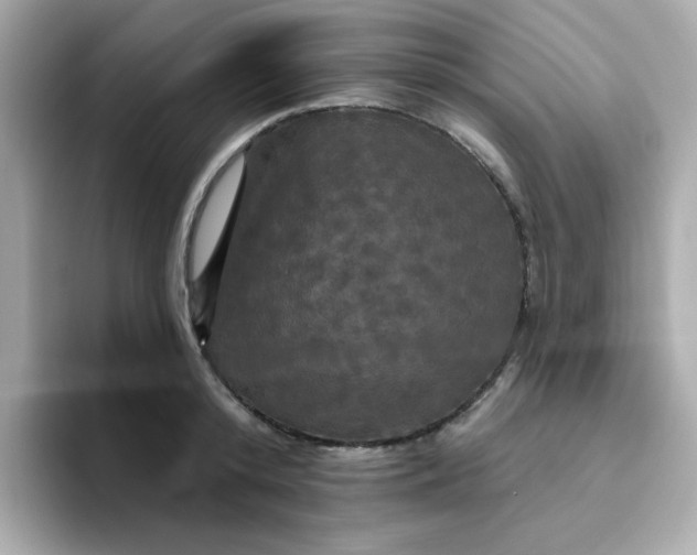 X0000094790800200711301605