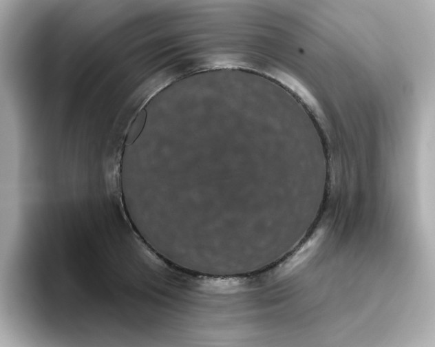 X0000094790801200711301605