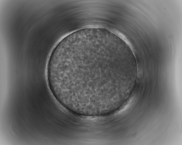 X0000094790803200711301605