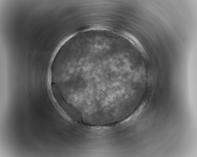 X0000094790804200711301605