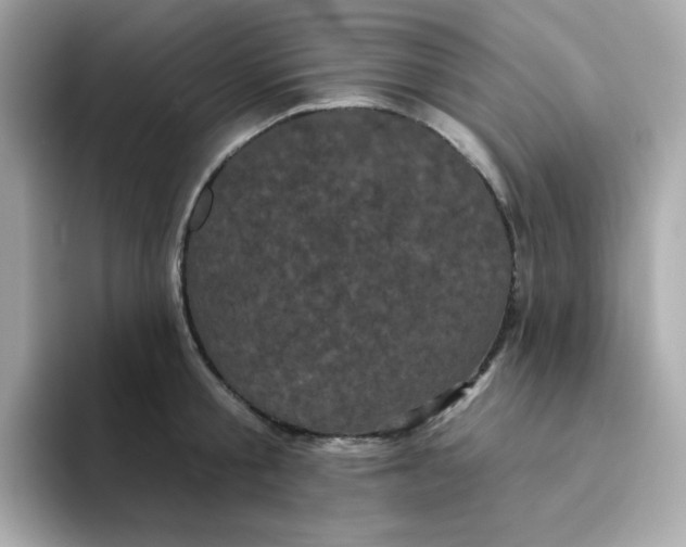 X0000094790805200711301605