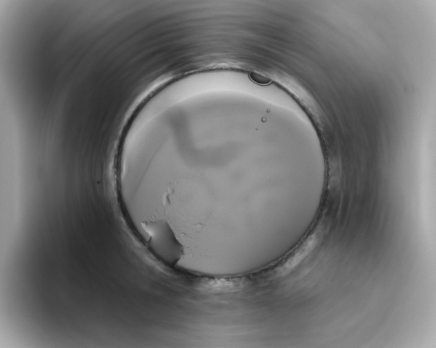 X0000094790806200711301605