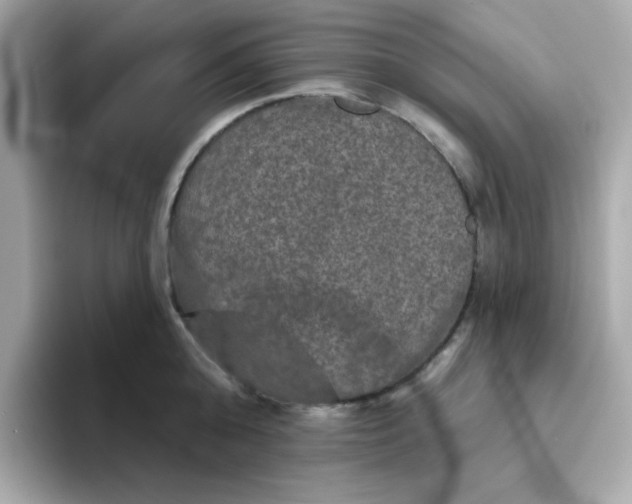 X0000094790808200711301605