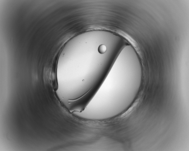 X0000094790809200711301605