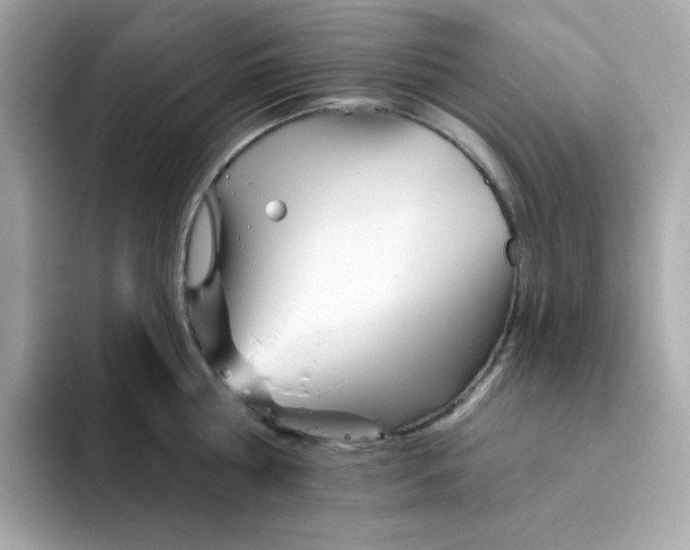 X0000094790810200711301605