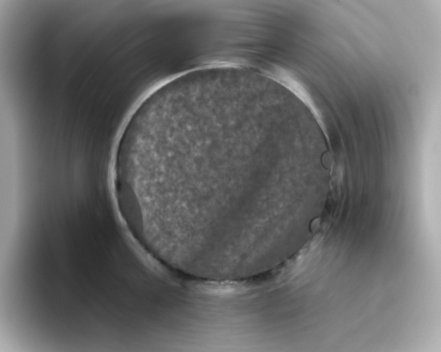 X0000094790811200711301605