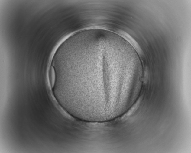 X0000094790812200711301605