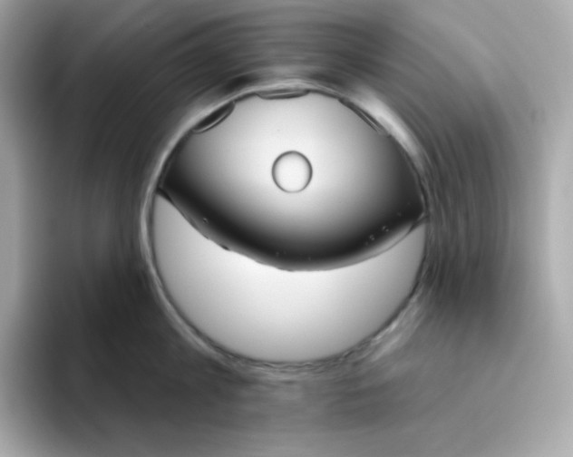 X0000094790813200711301605