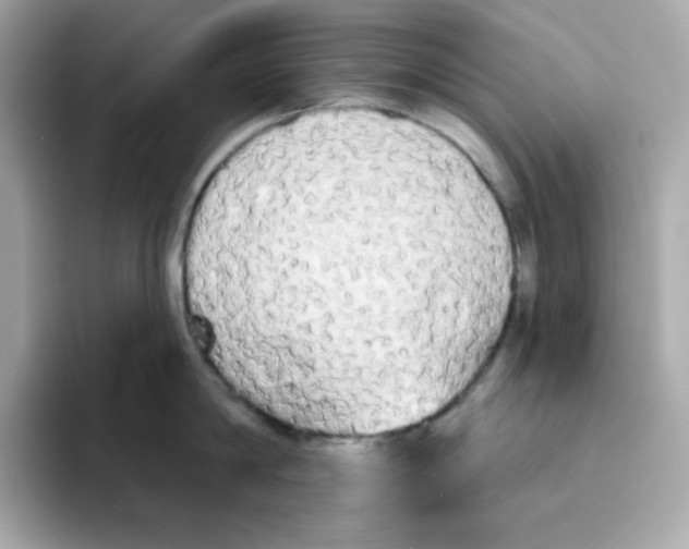 X0000094790814200711301605