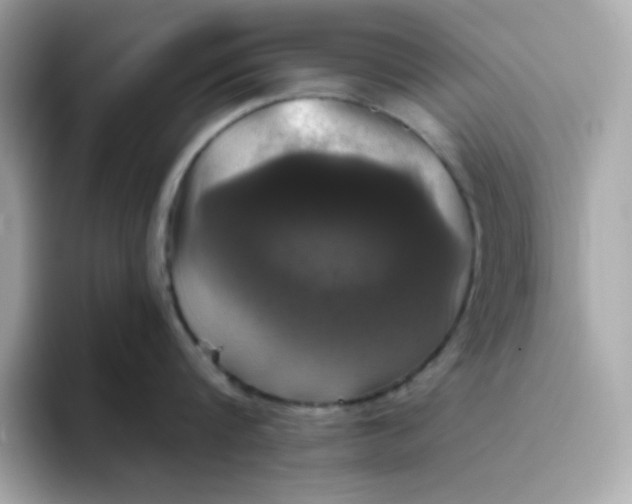 X0000094790816200711301605