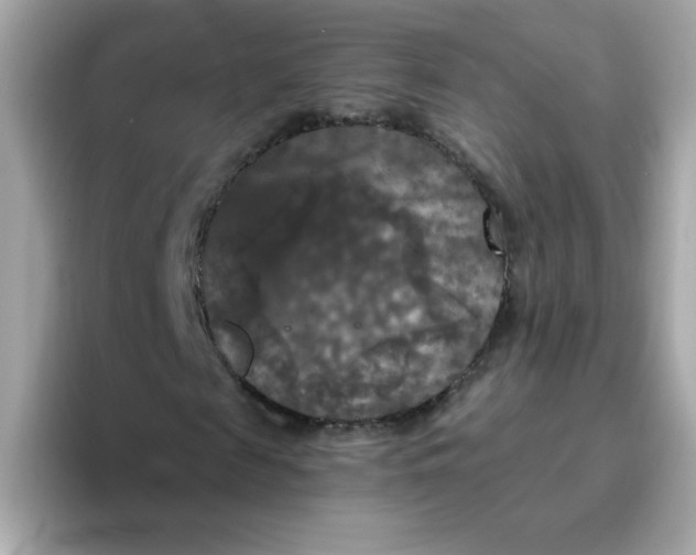 X0000094790817200711301604