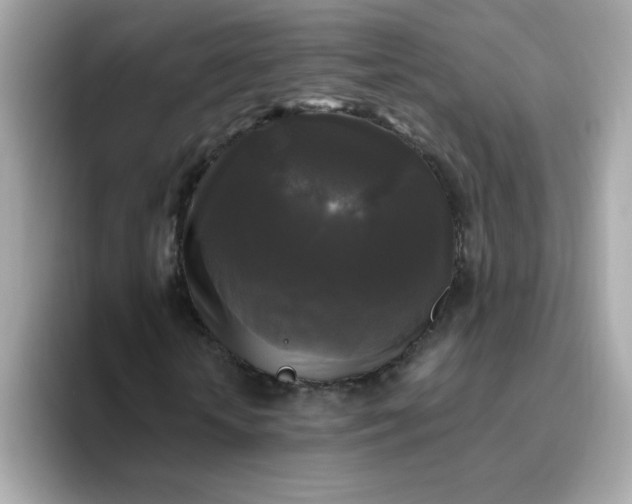 X0000094790818200711301604