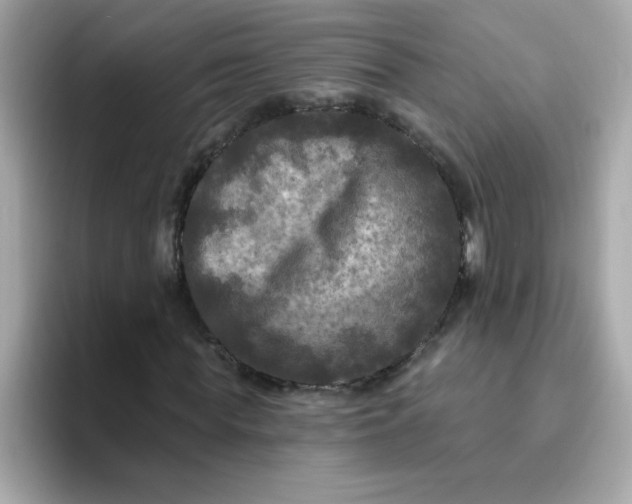 X0000094790819200711301604