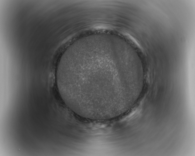 X0000094790821200711301604