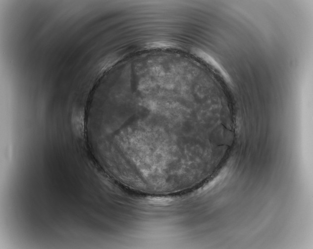 X0000094790825200711301604