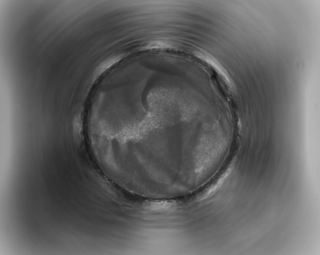 X0000094790826200711301604