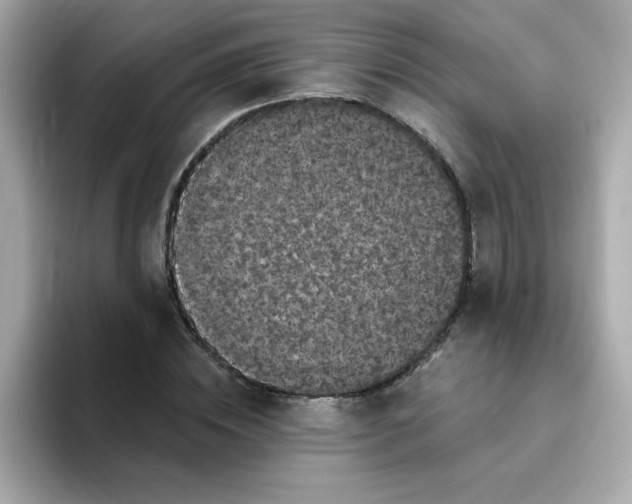 X0000094790828200711301604