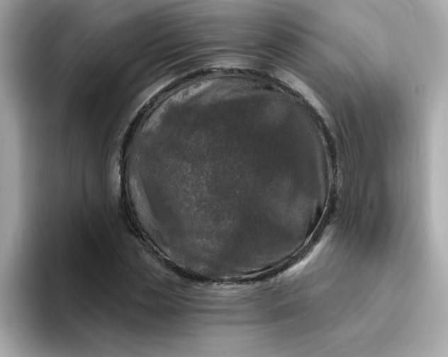 X0000094790829200711301604