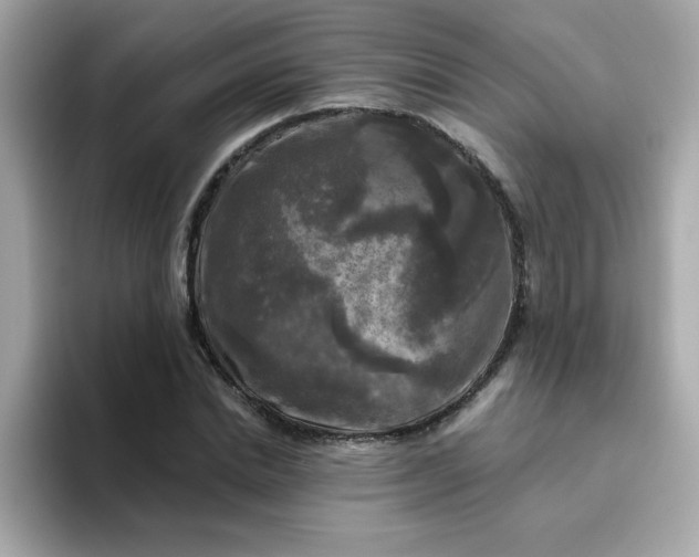 X0000094790830200711301604