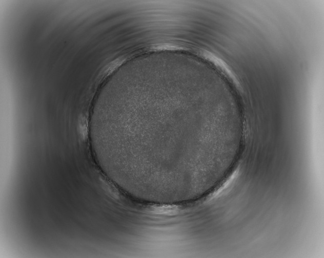 X0000094790833200711301604