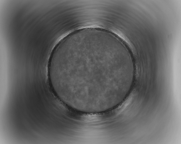 X0000094790834200711301604