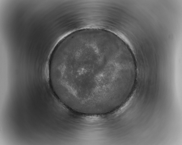 X0000094790838200711301604