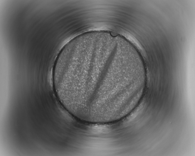 X0000094790842200711301604