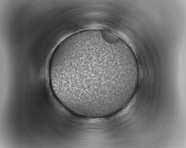 X0000094790843200711301605