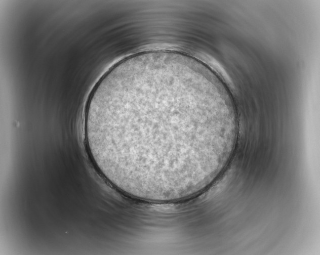 X0000094790844200711301605