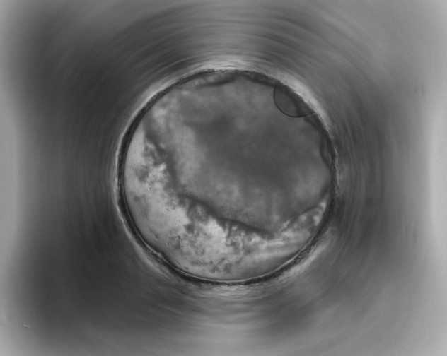 X0000094790845200711301605