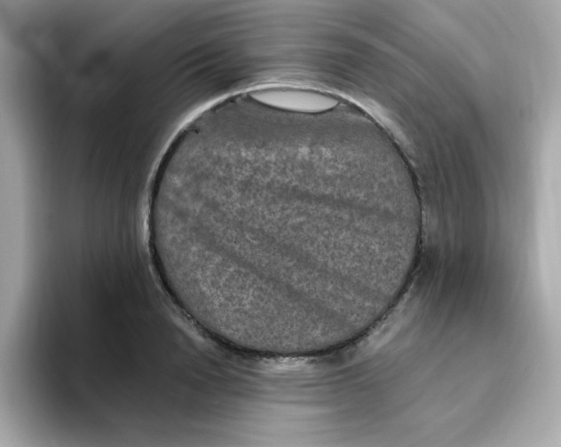 X0000094790846200711301605