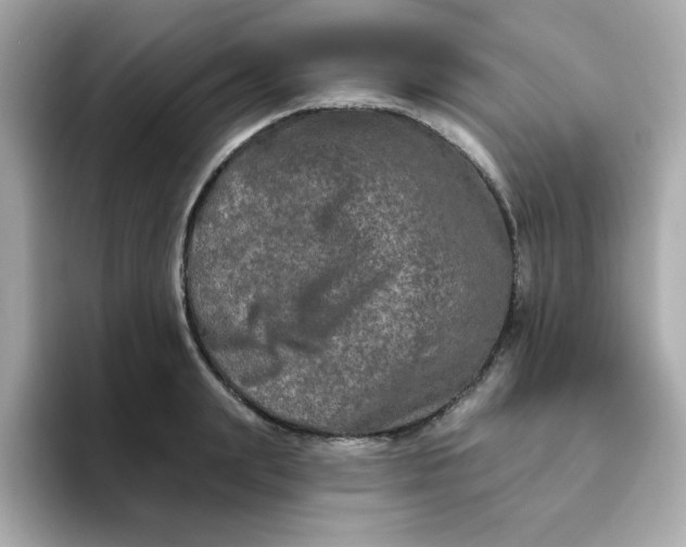 X0000094790847200711301605