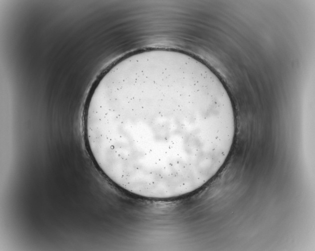 X0000094790848200711301605