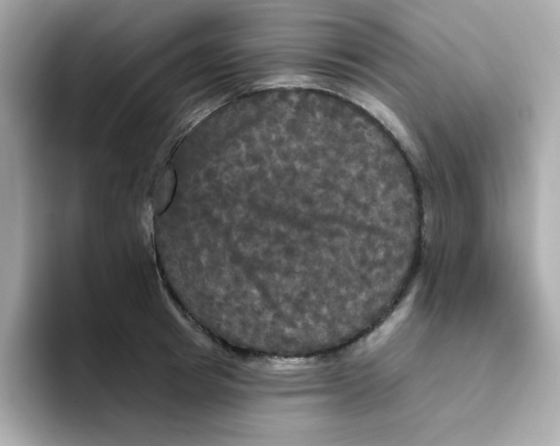 X0000094790849200711301605