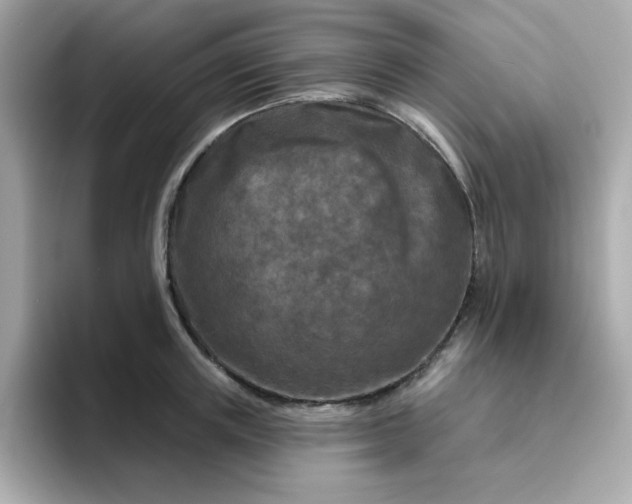 X0000094790851200711301605