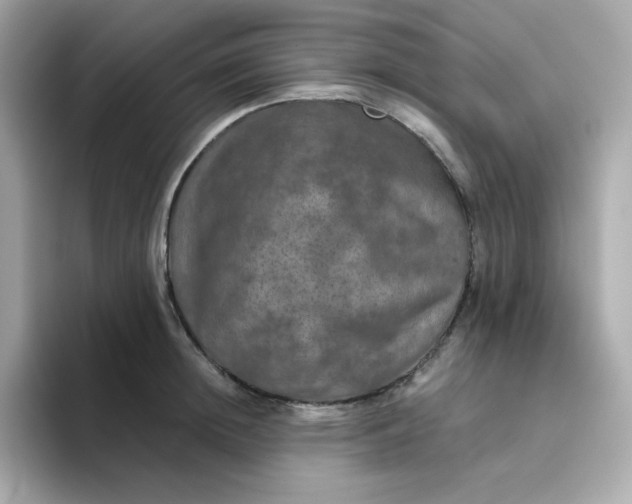 X0000094790852200711301605