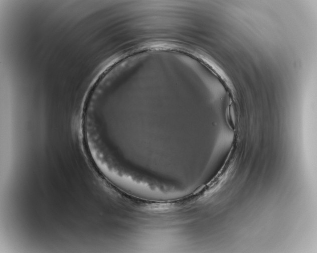 X0000094790853200711301605