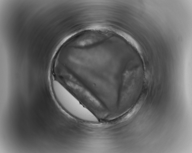 X0000094790855200711301605