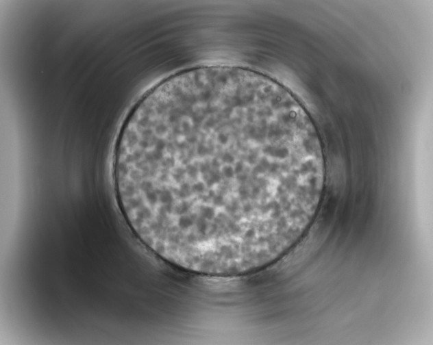 X0000094790856200711301605