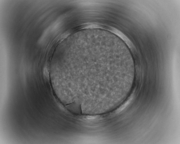 X0000094790857200711301605